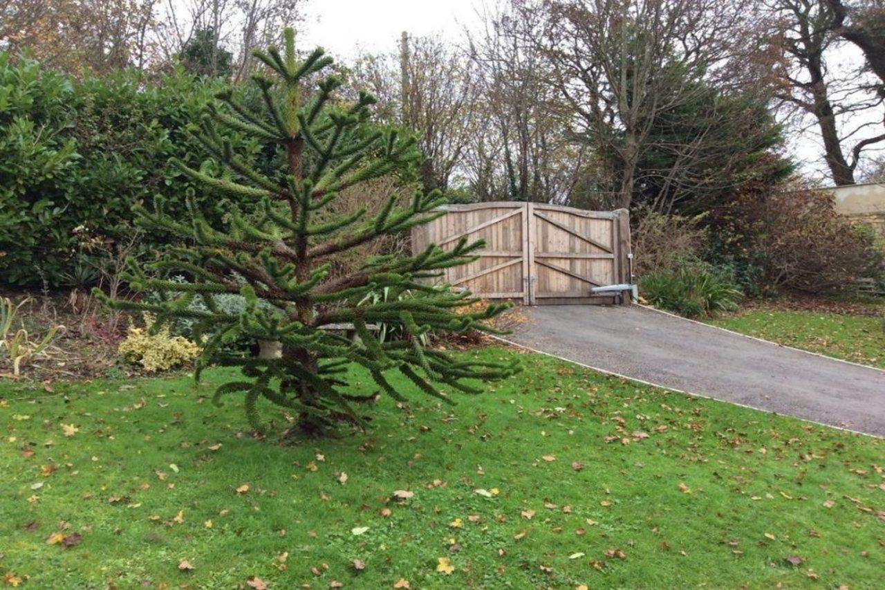 Bed and Breakfast Longacre Freshford Exterior foto