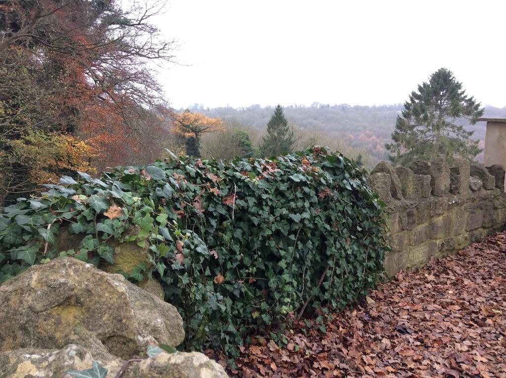 Bed and Breakfast Longacre Freshford Zimmer foto